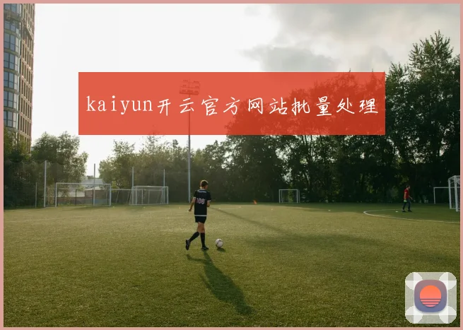 kaiyun开云官方网站批量处理