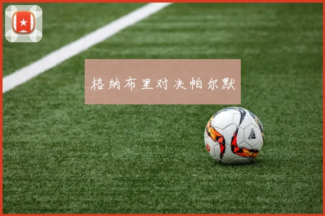 格纳布里对决帕尔默
