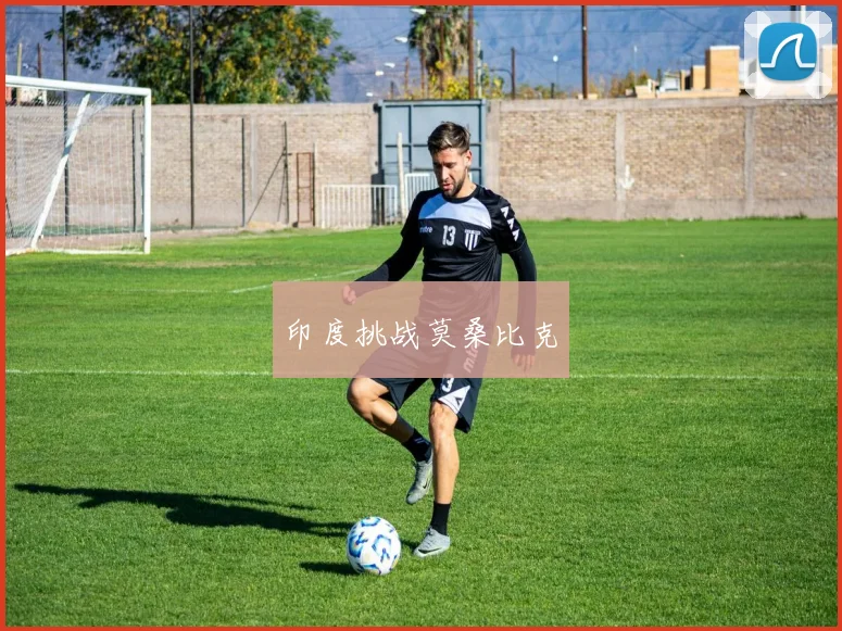 印度挑战莫桑比克