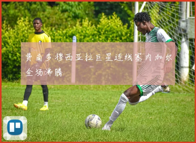 费南多穆西亚拉巨星连线塞内加尔全场沸腾
