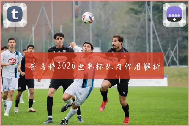 奈马特2026世界杯队内作用解析