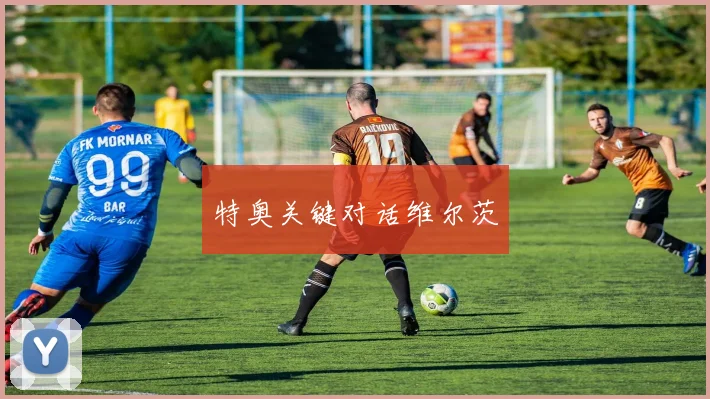 特奥关键对话维尔茨
