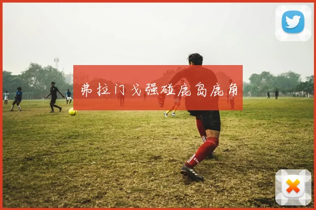 弗拉门戈强碰鹿岛鹿角