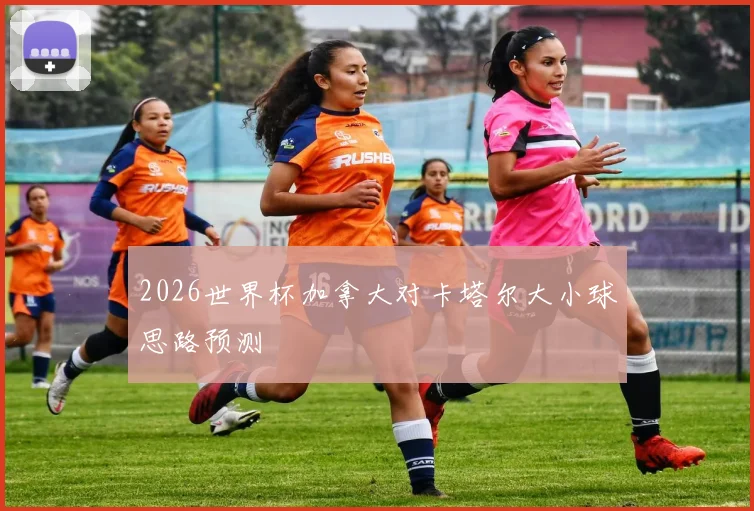 2026世界杯加拿大对卡塔尔大小球思路预测