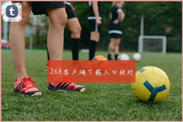 Z68客户端下载入口核对